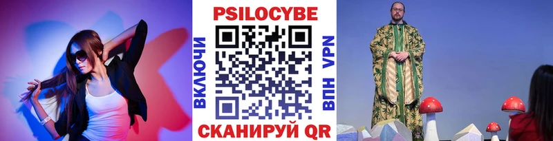 кракен ТОР  купить наркотик  Тулун  Псилоцибиновые грибы Magic Shrooms 