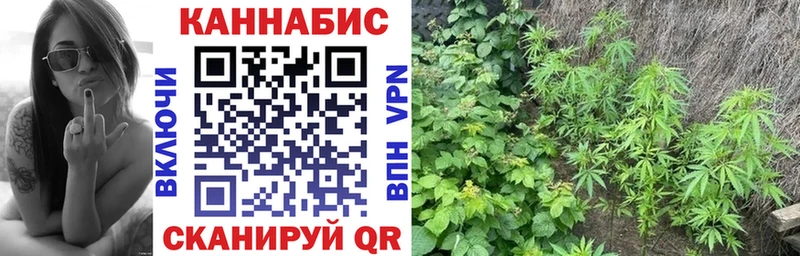 что такое   OMG ссылки  Бошки марихуана Amnesia  Тулун 